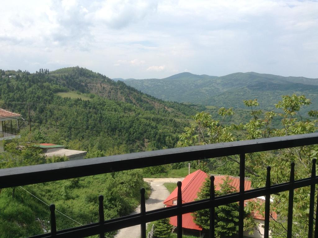 Πανδοχείο Λίμνης Πλαστήρα Hotel Kastania  Room photo